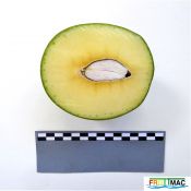 60imageP1250708 (2).JPG