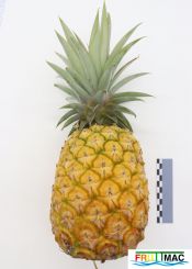 935imageIMG 6369.JPG