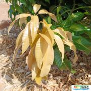 633imageIMG 20240716 115932(1).jpg