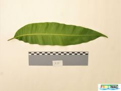 105imageIMG 0515 (3).JPG