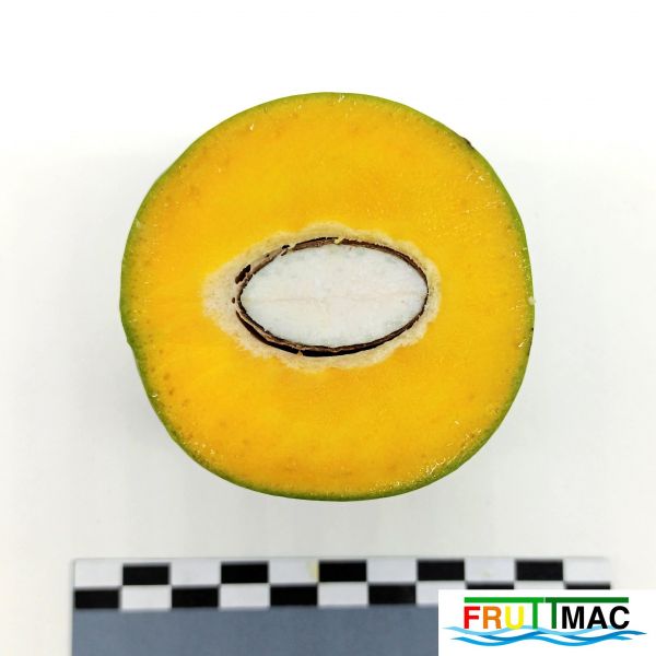 Archivo:611imageIMG 20230809 133503 (2).jpg