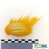 611imageIMG 20230821 135706.jpg