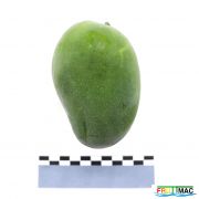 621imageIMG 2240.JPG