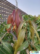 88imageIMG 20240717 093219(1).jpg