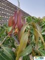 88imageIMG 20240717 093219(1).jpg