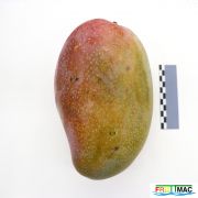 88imageIMG 4771.JPG