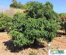 60image20190814 11.00.43 (2).jpg