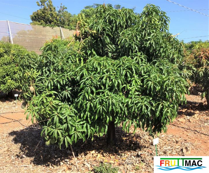 Archivo:60image20190814 11.00.43 (2).jpg