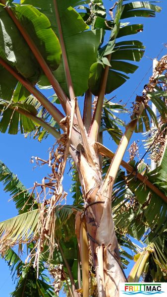 Archivo:1021imageIMG 20250321 112840.111.jpg