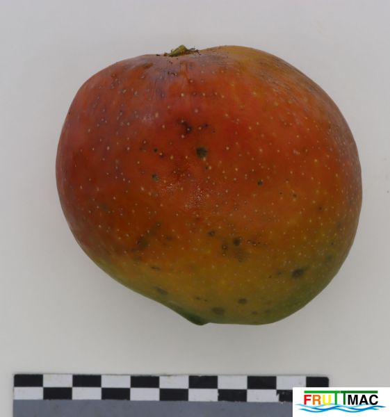 Archivo:1060imageIMG 9057.jpg