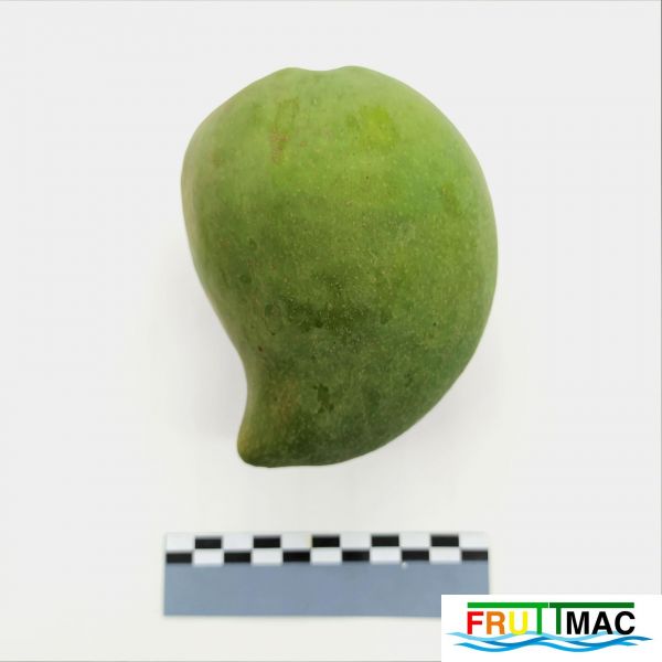 Archivo:68imageIMG 20230809 135028 (3).jpg