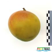 627imageIMG 20230807 112648 (2).jpg