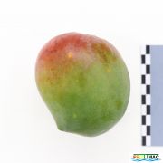 56imageIMG 3201.JPG