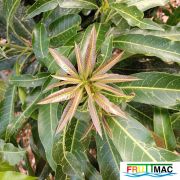 621imageIMG 20230704 083847.jpg