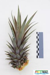 934imageIMG 6048.JPG