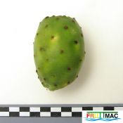 991imageIMG 1804.11.JPG