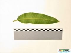 628imageIMG 0776 (3).JPG