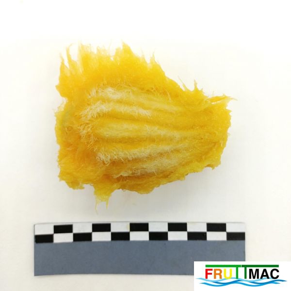 Archivo:68imageIMG 20230811 132927(2).jpg