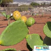 991imageIMG 20220810 102117.111.jpg