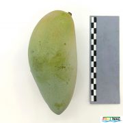 100imageIMG 20230725 121800.jpg