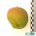 113imageIMG 0646 (nuev.JPG