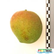 113imageIMG 0646 (nuev.JPG