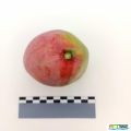 Miniatura de la versión del 10:57 28 may 2025