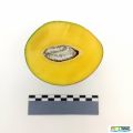 Miniatura de la versión del 10:57 28 may 2025