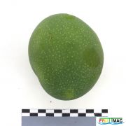 72imageIMG 6787(1).JPG