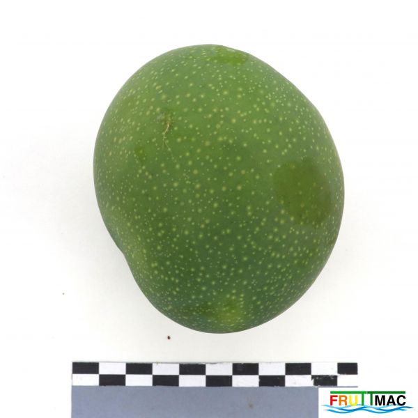 Archivo:72imageIMG 6787(1).JPG